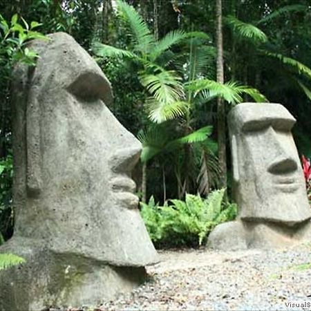 Rainforest Hideaway Cape Tribulation Zewnętrze zdjęcie