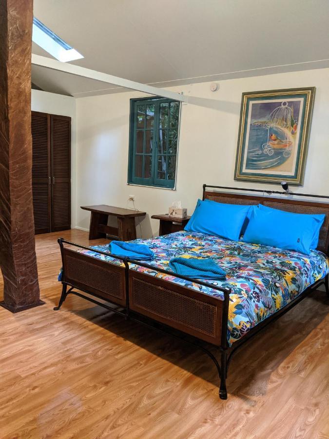 Rainforest Hideaway Cape Tribulation Zewnętrze zdjęcie