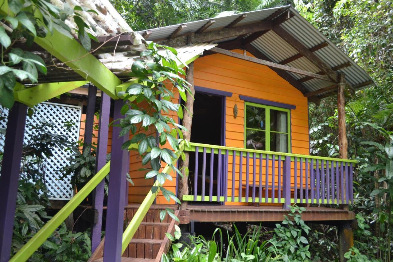 Rainforest Hideaway Cape Tribulation Zewnętrze zdjęcie