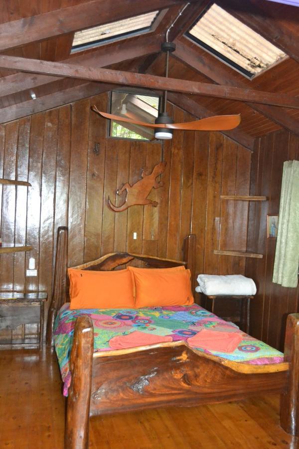 Rainforest Hideaway Cape Tribulation Zewnętrze zdjęcie