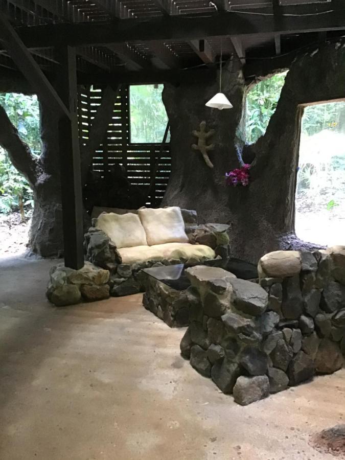 Rainforest Hideaway Cape Tribulation Zewnętrze zdjęcie