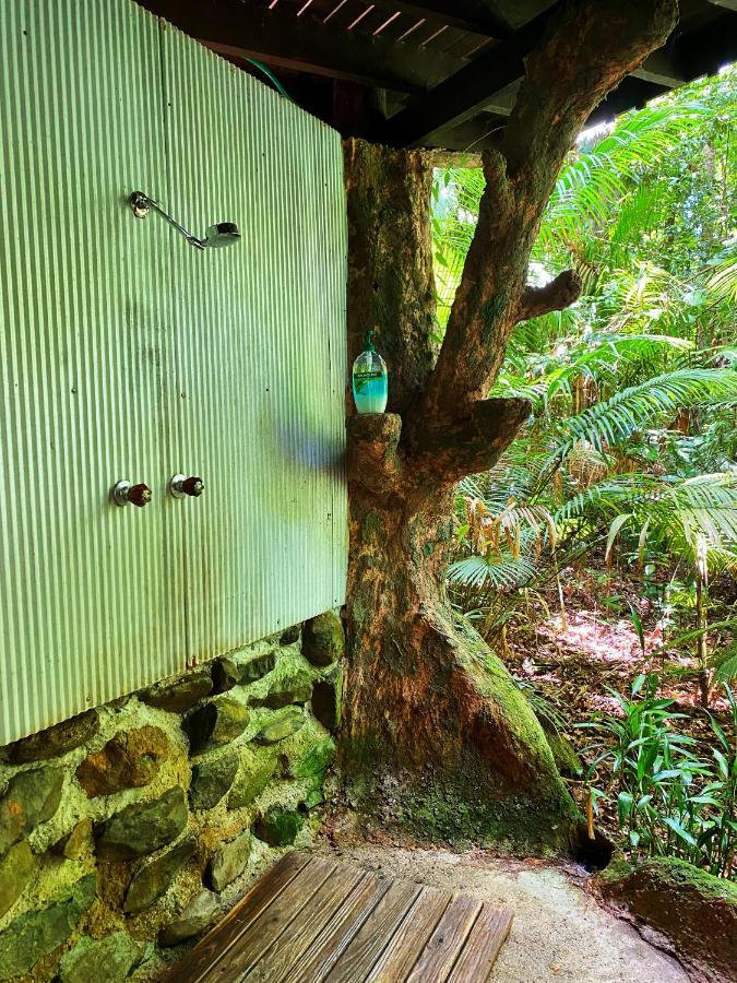Rainforest Hideaway Cape Tribulation Zewnętrze zdjęcie
