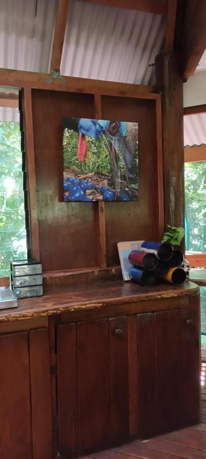 Rainforest Hideaway Cape Tribulation Zewnętrze zdjęcie