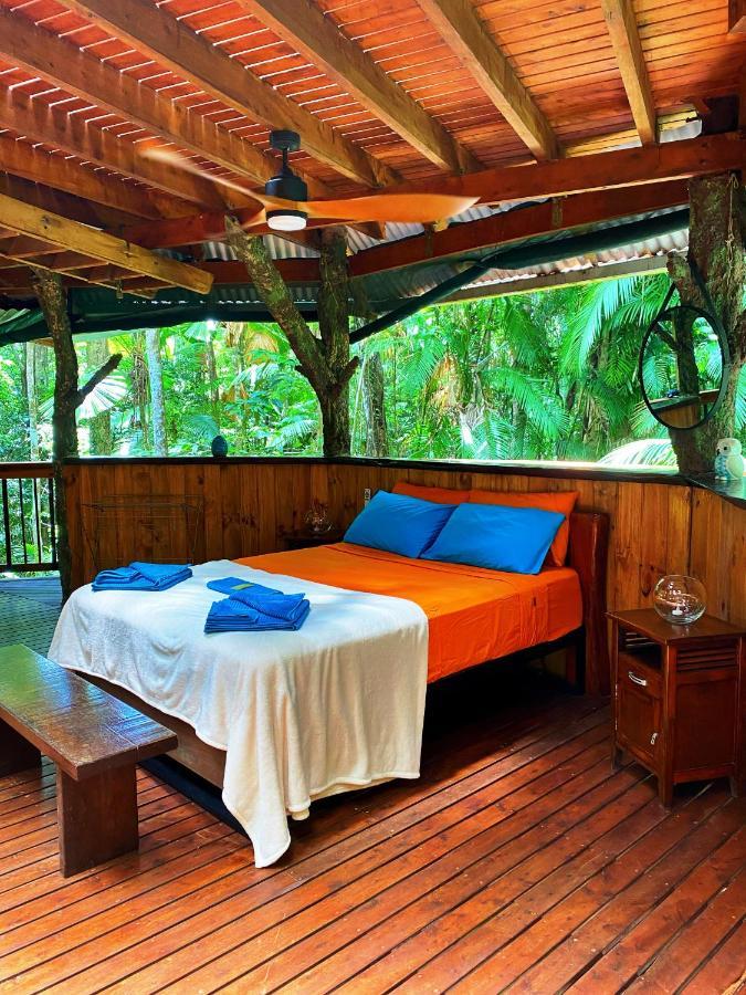 Rainforest Hideaway Cape Tribulation Zewnętrze zdjęcie