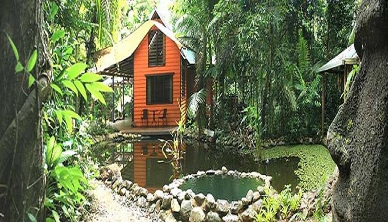 Rainforest Hideaway Cape Tribulation Pokój zdjęcie
