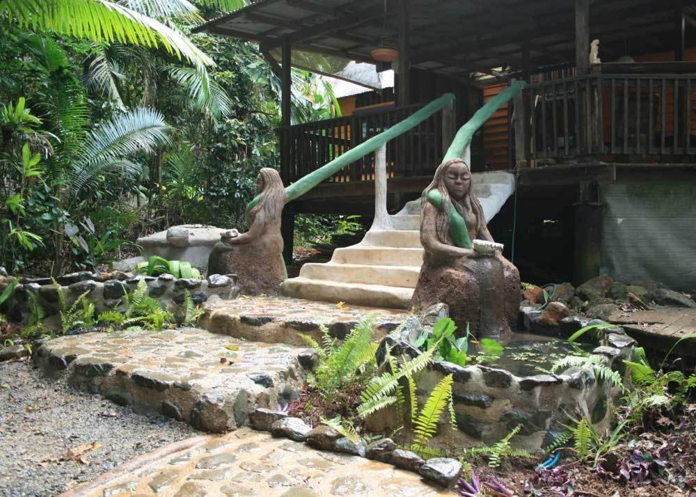 Rainforest Hideaway Cape Tribulation Zewnętrze zdjęcie