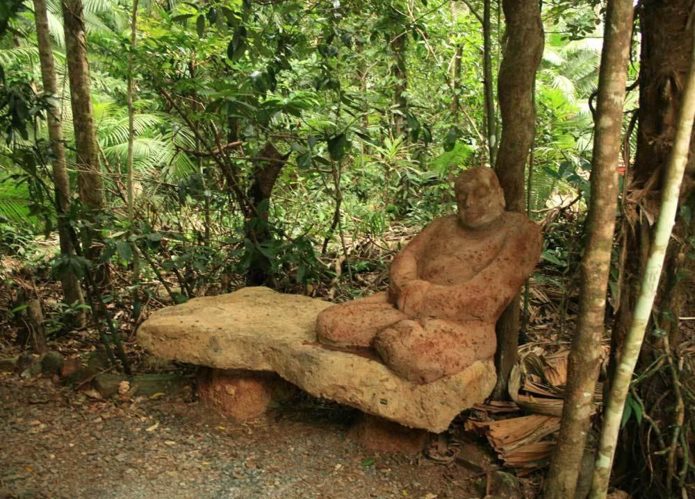 Rainforest Hideaway Cape Tribulation Zewnętrze zdjęcie