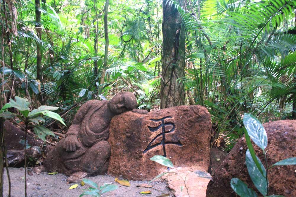 Rainforest Hideaway Cape Tribulation Zewnętrze zdjęcie