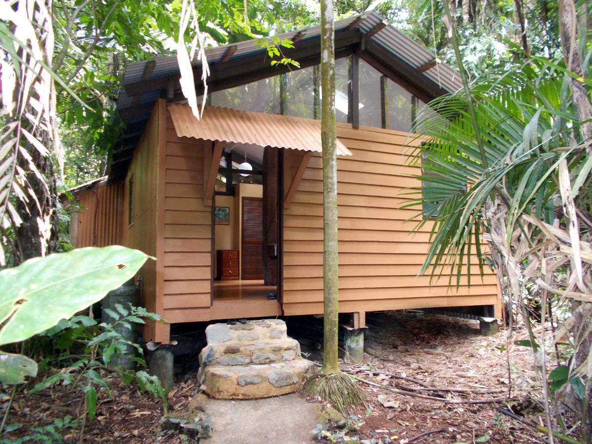 Rainforest Hideaway Cape Tribulation Zewnętrze zdjęcie