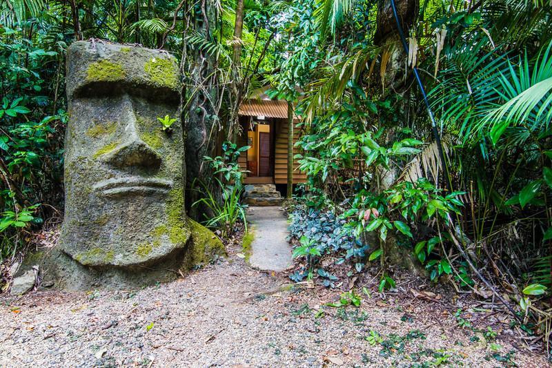 Rainforest Hideaway Cape Tribulation Zewnętrze zdjęcie